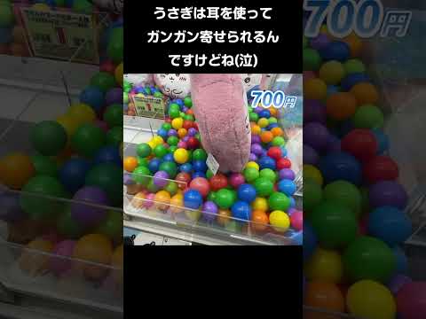 優良ゲーセンだと「ちいかわ もこもこダイカットクッション ハチワレ」いくらで取れる？【千葉鑑定団松戸店】#ufoキャッチャー #クレーンゲーム #인형뽑기 #오락실 #娃娃机 #夾娃娃機 #日本夾娃娃