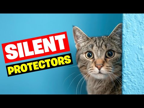 How Cats Protect Their Humans