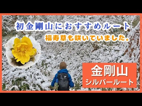 【金剛山】初心者にオススメ！山頂まで早い、緩やか、危険箇所なし。