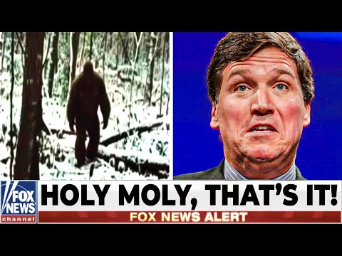 Scientist In Alaska Captured Bigfoot On Camera By ACCIDENT