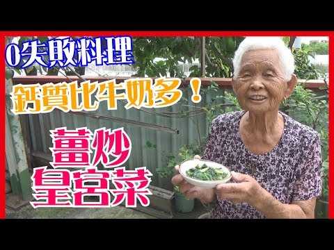 如何做簡單的【薑炒皇宮菜】料理│快樂嬤食堂#104│台灣美食、小吃、做法、食譜、古早味、素食