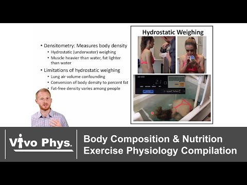 Body Composition and Nutrition Exercise Physiology Compilation