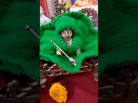 Laddu Ji Ka Green Sweaters Dekhiye #karigardidi #shorts  #minivlog #viralshort #subscriber #ladduji