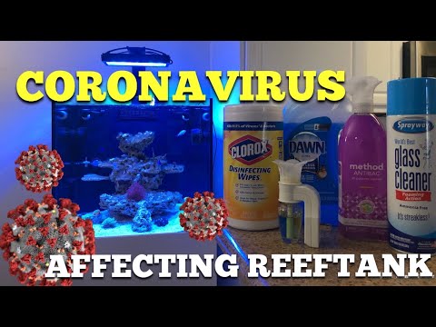 Coronavirus Affecting Tank??