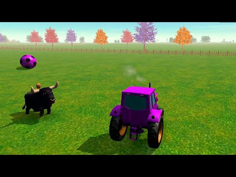 Jugando al fútbol con el toro de la Granja