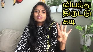 அமெரிக்கா வாழ்க்கை அனுபவம் (with video clips)|Family Traveler VLOGS (2019) | USA Tamil VLOG