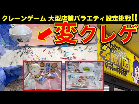 【クレーンゲーム】バラエティに富んだ設定！エブリデイ多摩ノ国！家族で楽しめるゲーセンで色々な景品にチャレンジしました！【UFOキャッチャー／ぶらりクレゲ探訪／vlog】