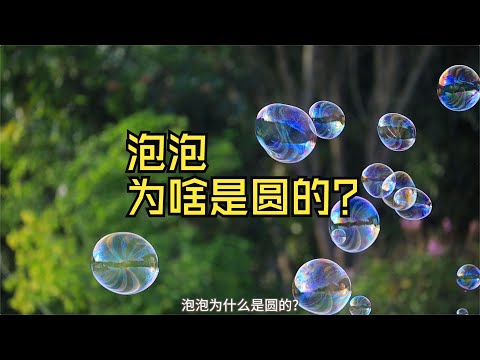 泡泡为什么是圆的｜等周定理｜数学证明｜数学思维｜能量最低原理｜圆的面积