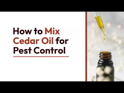 8 Ways to Mix Cedar Oil for Pest Control | The Guardians Choice