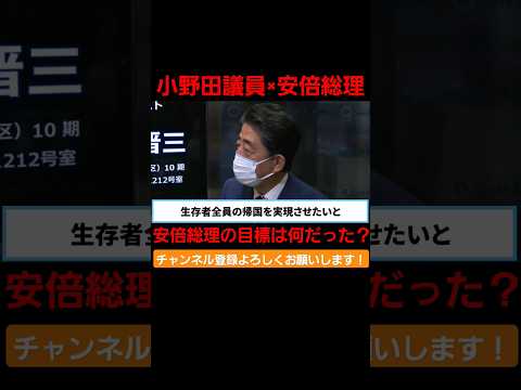 【Part.4】小野田議員×安倍総理。安倍総理の目標とは何だったのか。 #国会 #政治