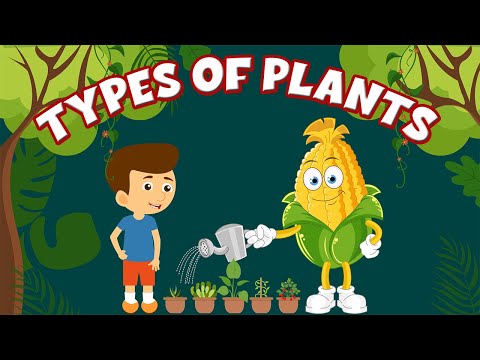 Types of Plants - Herbs, Shrubs,Trees, Climbers and Creepers - Learning Junction #plants #kidsvideo