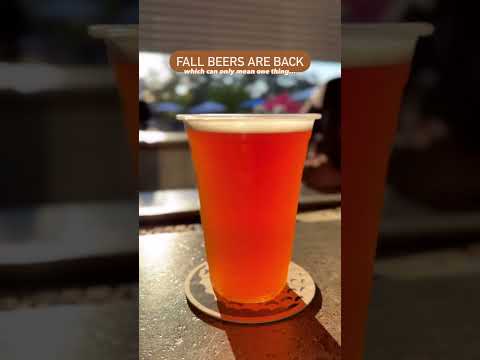 Fall Beers in Tampa Bay #shorts #fallbeers #tampabay