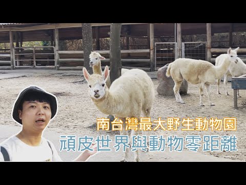 [打開cc字幕]南台灣最大野生動物園 頑皮世界與動物零距離