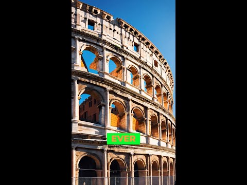 The Colosseum: More Than Just an Arena!