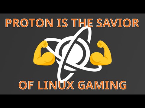 Native Linux Gaming Has Problems …