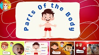 Learn Body Parts for Kids! Parts of Body! Human Body Parts!