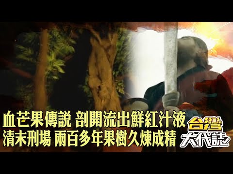 城隍廟「血芒果傳說」剖開竟流出鮮紅汁液？曾是「清末刑場」兩百多年果樹久煉成精！？｜@57GoFun