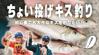 ちょい投げでキスを狙うならこの釣り方が一番釣れる