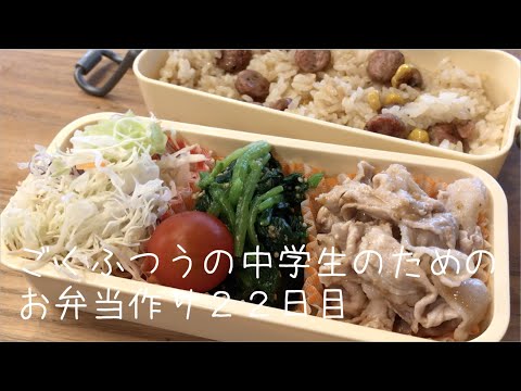 ２２日目♫ごく普通の中学生のためのお弁当づくり♫豚しゃぶ弁当♫