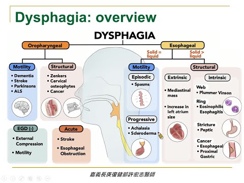 透視吞嚥障礙疾患(上午總論)：臨床診斷、影像判讀、實用治療與案例分析