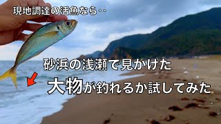 現地調達アジの泳がせ釣りなら、どんなスレた魚も釣れるはず！と思って試してみた結果‥