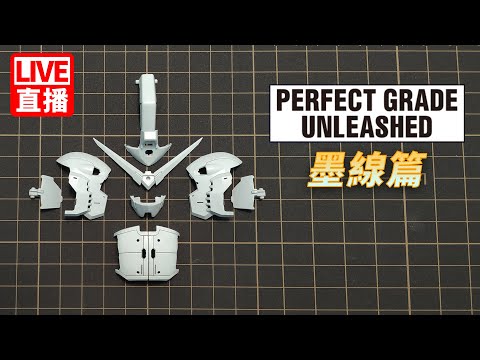 [超前製作 Day 5 ] 超療癒入墨線 PG Unleashed RX-78-2 GUNDAM PGUL鋼彈 三台聯播企劃