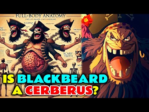 Blackbeard Anatomy Explored - Is He A Cerberus? How Does He Have Two Devil Fruits?