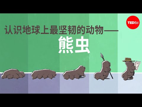 认识地球上最坚韧的动物——熊虫 - Thomas Boothby