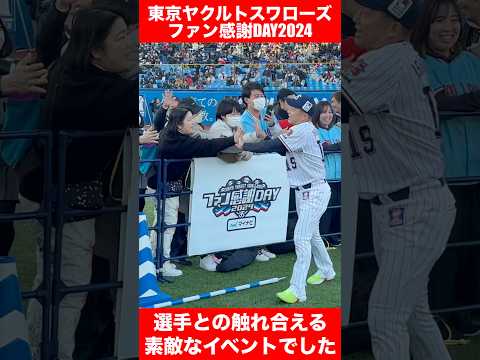 東京ヤクルトスワローズファン感謝DAY2024【現地リポート】その② #ヤクルト　#スワローズ　#swallows #明治神宮球場　#ファン感　#ファン感謝DAY2024 #石川雅規