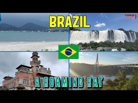 Brazil VLOG - A Roaming Rat