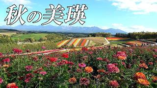 【北海道 美瑛】１０月でもすごい「四季彩の丘」と美瑛お勧めスポットの様子　拓真館～青い池～白ひげの滝　４Ｋ