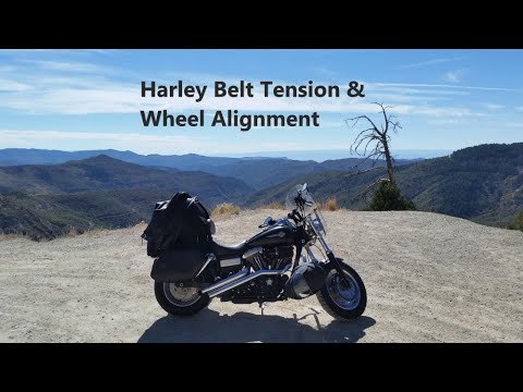 2008 Harley Dyna Fat Bob Rear Wheel Alignment and Belt Tension