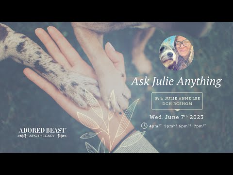 Ask Julie Anything - June Q & A Session