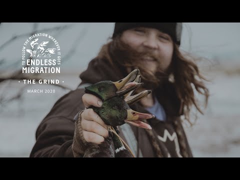 Duck and Goose Hunting the Northwest -  The Grind - An Endless Migration Original Film