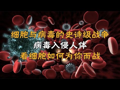 细胞与病毒的史诗级战争，病毒入侵人体，看细胞如何为你而战！