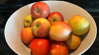 Making Fresh Apple Juice!🍎