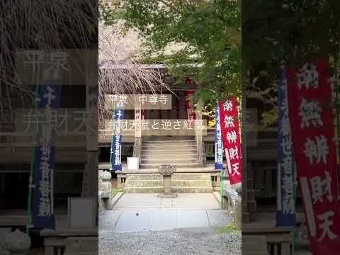 【平泉　中尊寺】東北へ行こう！紅葉シーズンに外せない絶景ポイント！#shorts #旅行 #観光 #東北