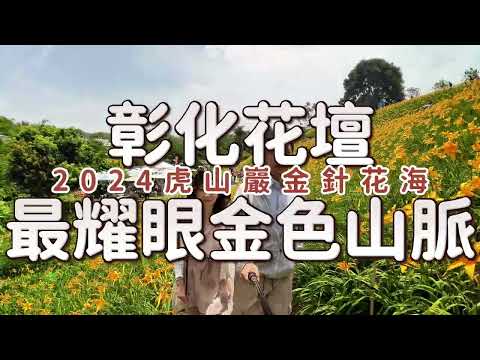 Dami Im - Smile丨彰化花壇丨2024虎山巖金針花海丨Osmo Action 3