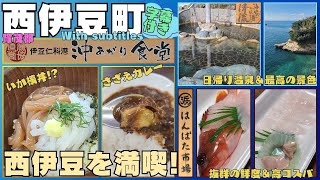 【西伊豆町】食事とお土産と温泉で楽しむ西伊豆日帰りプチ旅行 #西伊豆 #グルメ #沖あがり食堂 #はんばた市場 #海辺の隠れ湯清流 #日帰り温泉 #字幕付き #伊豆のグルメライダーたけちよ