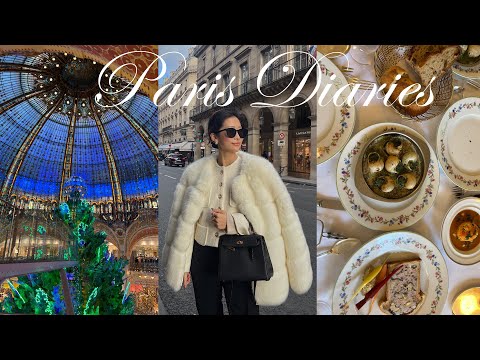 PARIS DIARIES | exploring Paris with my brother, Paris restaurant recs, & meeting a viewer!