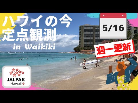 定点観測【ハワイの今】ワイキキ定点観測  2023年5月16日