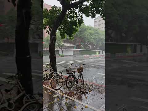 康芮颱風的威力🌀☔ Typhoon in the town😭 #shorts #typhoon #taipei