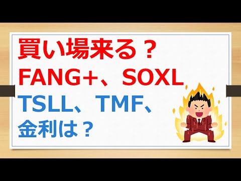 大統領選挙後に買い場が来る？　FANG+、SOXL、TSLL、TMF、金利は下がるのか？　【有村ポウの資産運用】241105