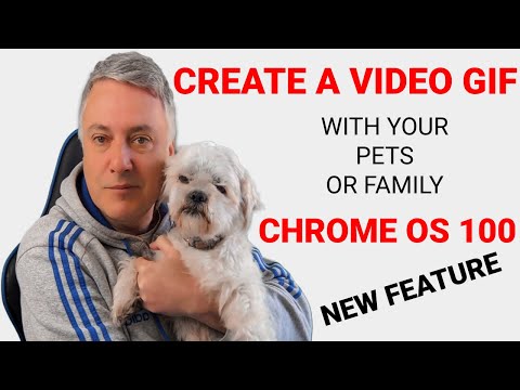 Chrome OS 100 new feature - Create a video GIF