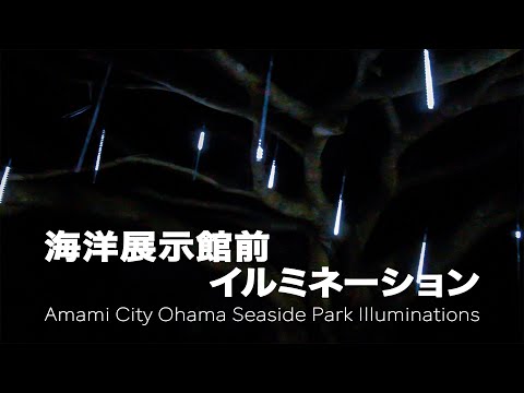 奄美市大浜海浜公園海洋展示館前イルミネーション