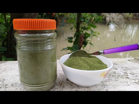 সজনে পাতার পাউডার || Sojne Pata Powder || সজিনা পাতার পাউডার || মরিঙ্গা পাউডার || Moringa Powder