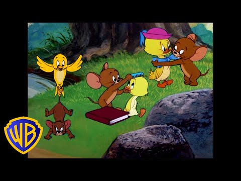 Tom y Jerry en Latino | Amigos para siempre, Jerry y Pequeño Patito 🐭❤️🐣 | @WBKidsLatino