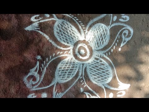 mayil kolam||easy rangoli design||rangoli