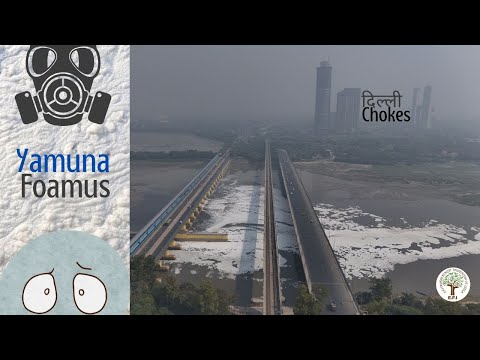 Toxic Foam Takes Over Yamuna In Delhi