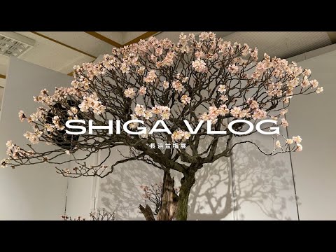 【Vlog】盆梅展💐｜日本一の盆梅展｜湖北地方｜春の風物詩｜滋賀県